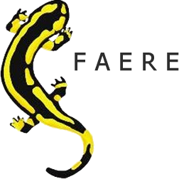 logo_faere