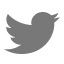 Partager sur Twitter